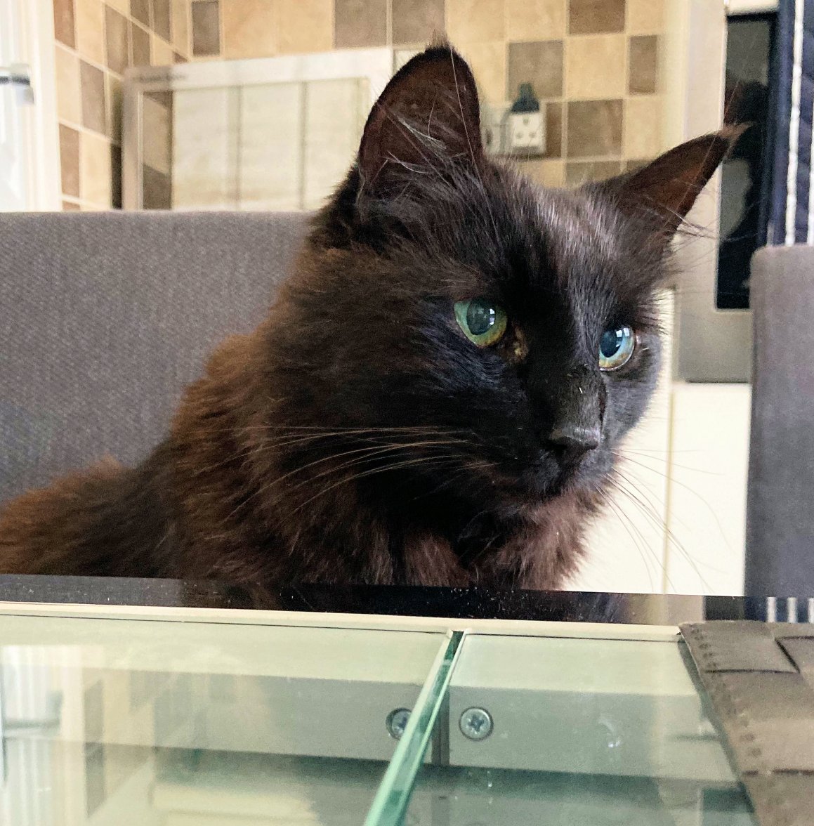 What is for breakfast - Copy.jpg