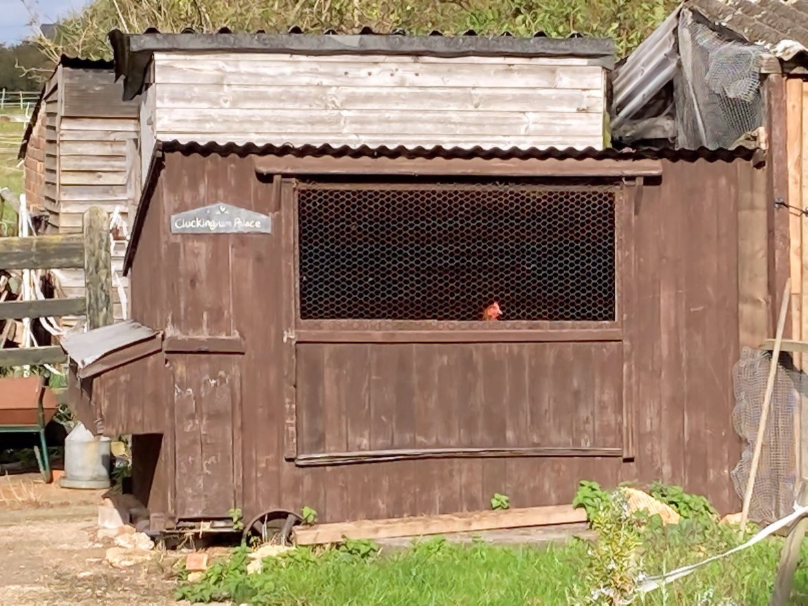 Cluckingham Palace - Copy.jpg