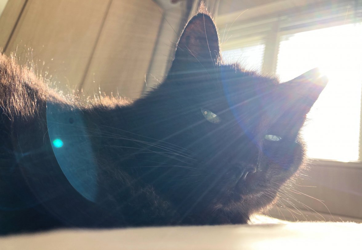 Old Boy Sun - Copy.jpg