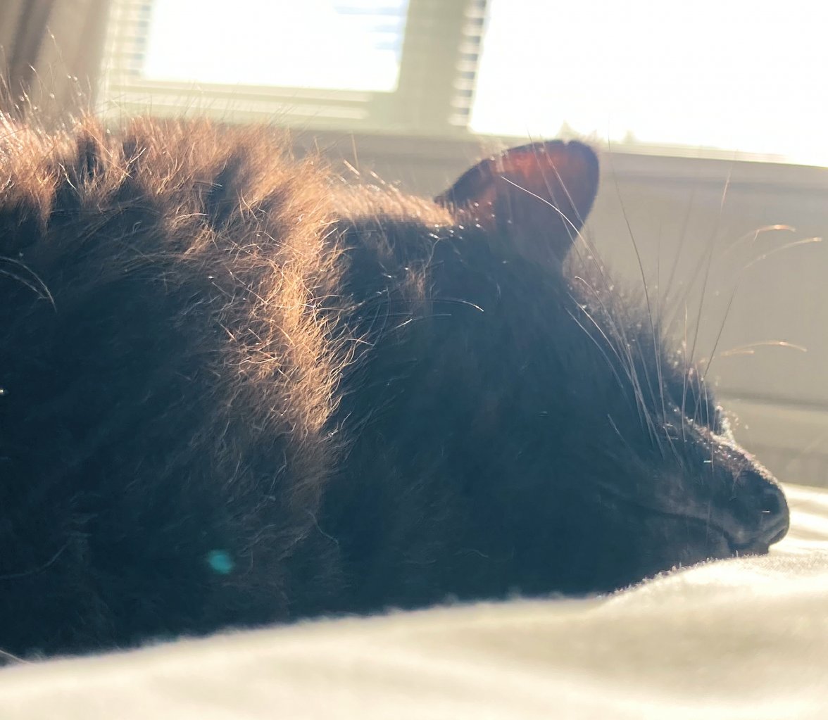 Old Boy Sunbathe2 - Copy.jpg