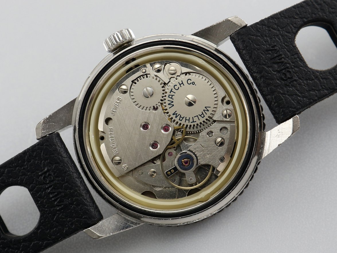 IMG_2449.JPG IMG_2449.JPG