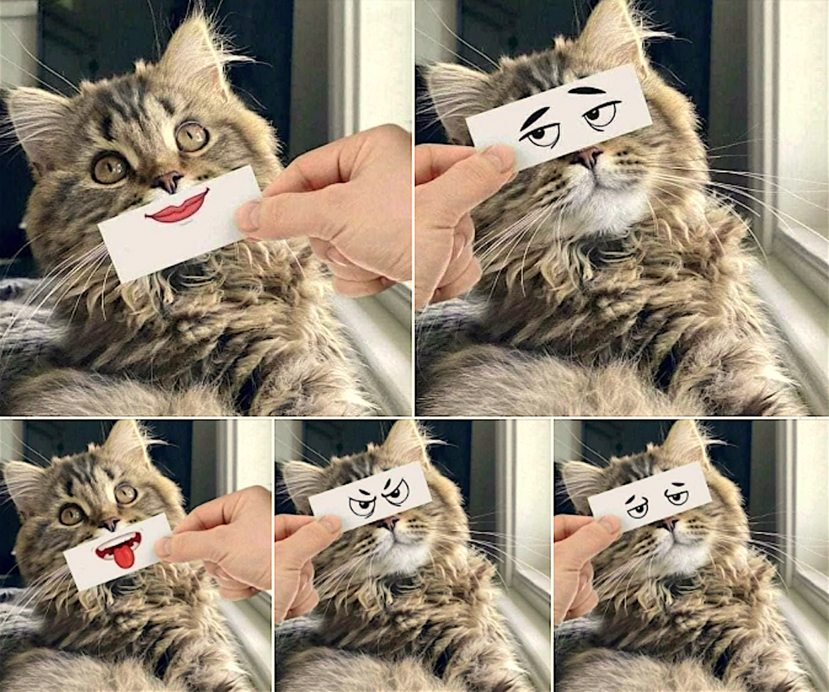 Screen Shot 2021-10-19 at 12.09.24 AM.png