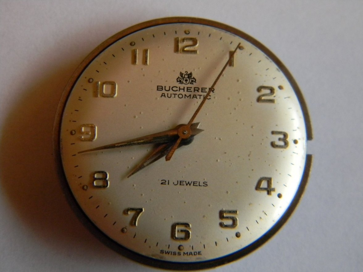 DSCN7337.JPG DSCN7337.JPG