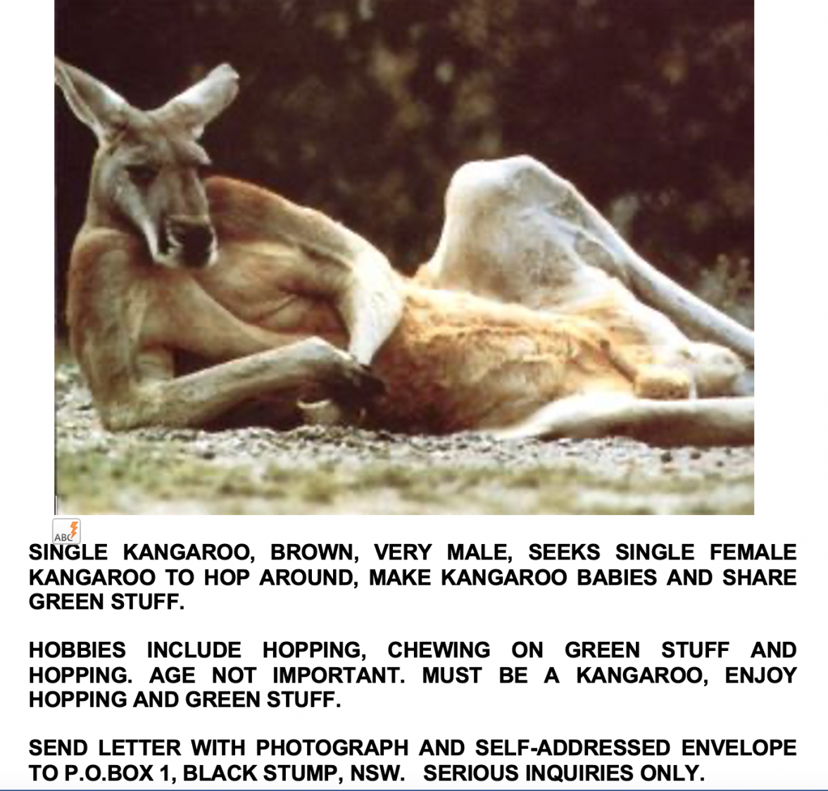 Screen Shot 2021-10-20 at 9.13.33 am.png