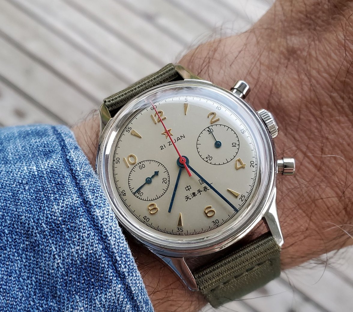 Seagull ws 1b 20211022_072605.jpg