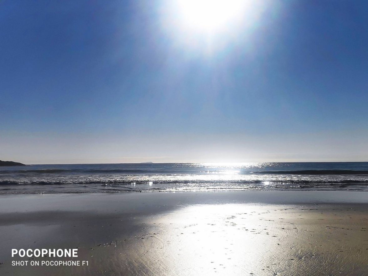 IMG_20210815_084552.jpg IMG_20210815_084552.jpg