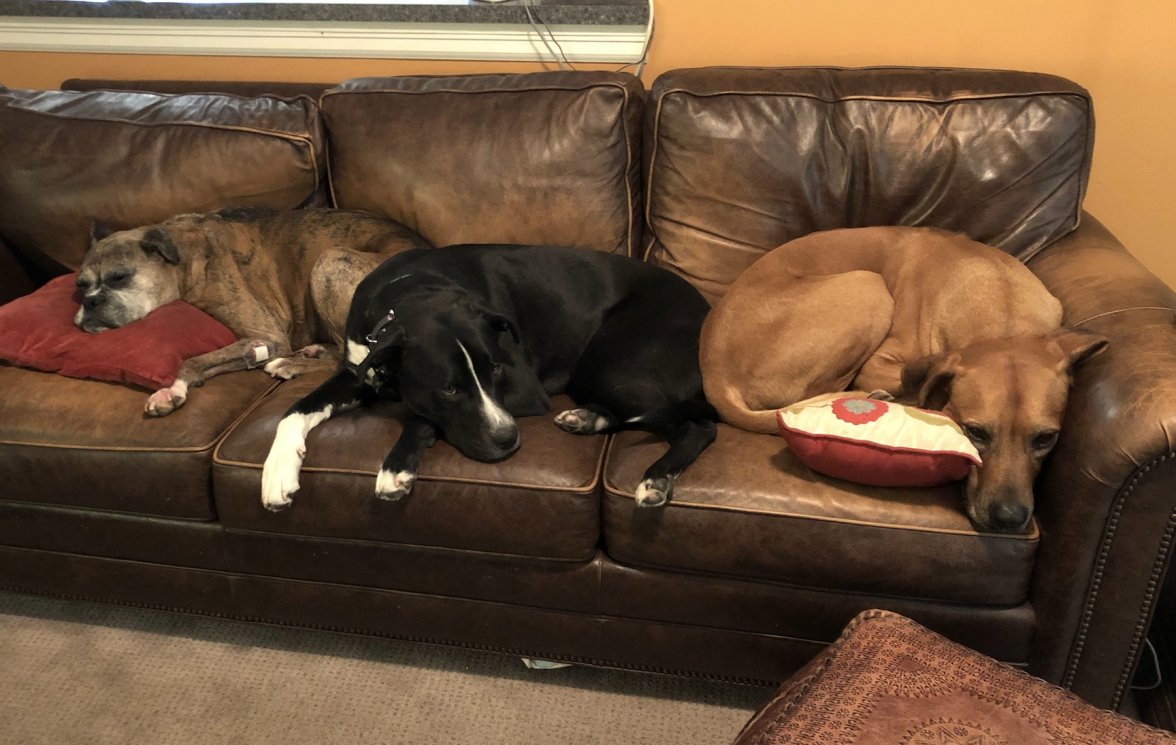 IMG_1460.jpeg IMG_1460.jpeg