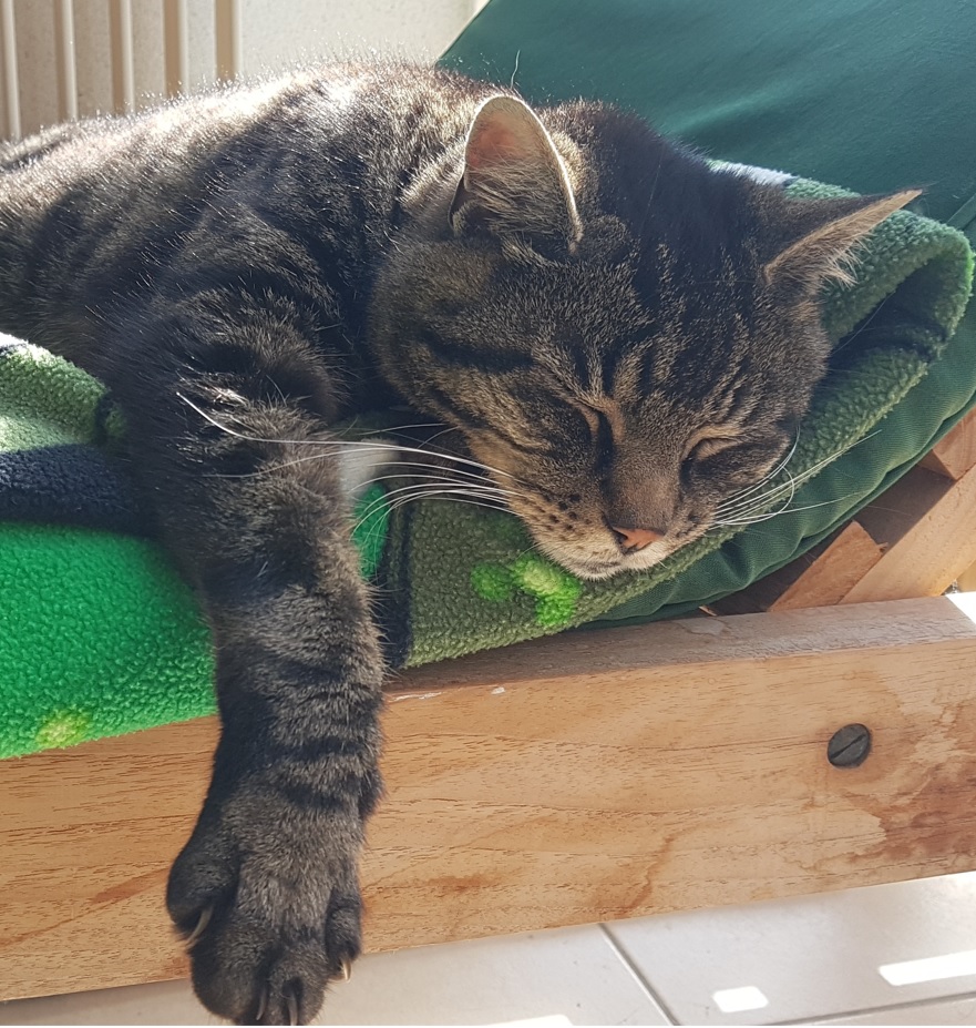 BinKat.jpg BinKat.jpg