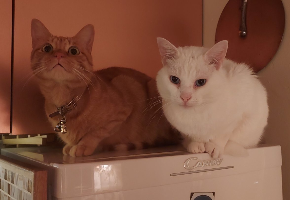 20211027_112533.jpg 20211027_112533.jpg