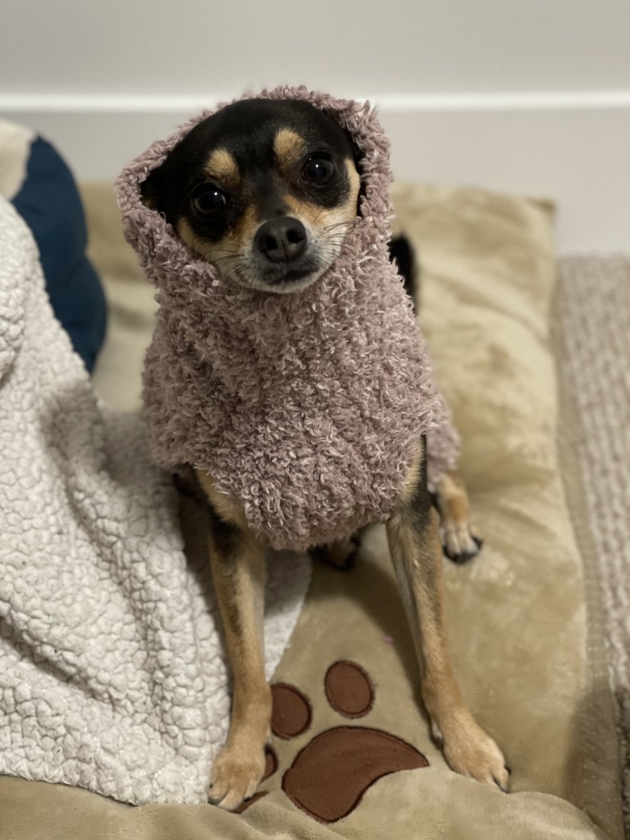 A9E143C4-A5E7-4881-944C-F2E98DCCA739.jpeg A9E143C4-A5E7-4881-944C-F2E98DCCA739.jpeg