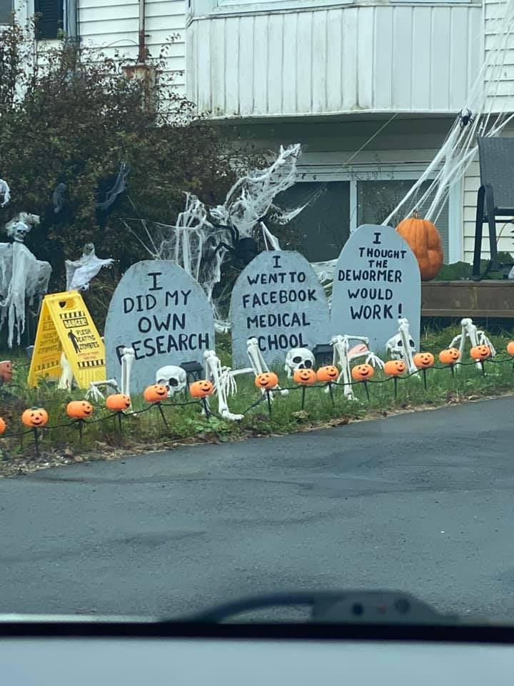 245689579_3019581655035832_8184680258630603814_n.jpg 245689579_3019581655035832_8184680258630603814_n.jpg