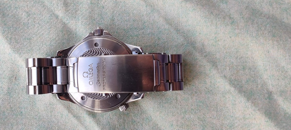 2254 Clasp and caseback.jpg 2254 Clasp and caseback.jpg