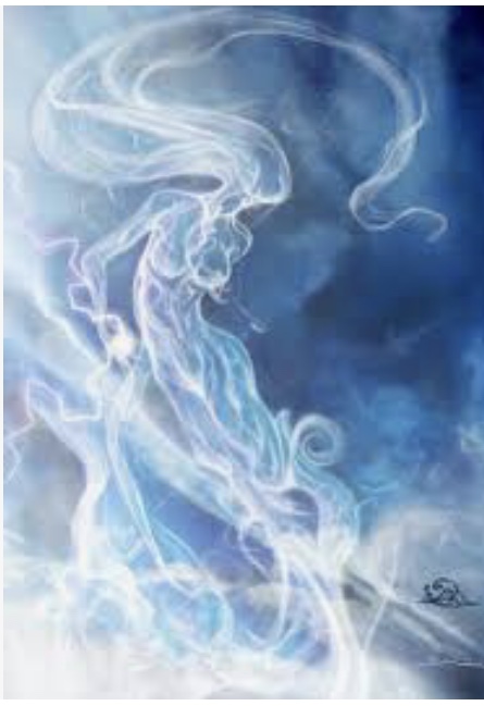 124DE064-26C1-4FBC-B0F7-AB2E4223AA84.jpeg 124DE064-26C1-4FBC-B0F7-AB2E4223AA84.jpeg