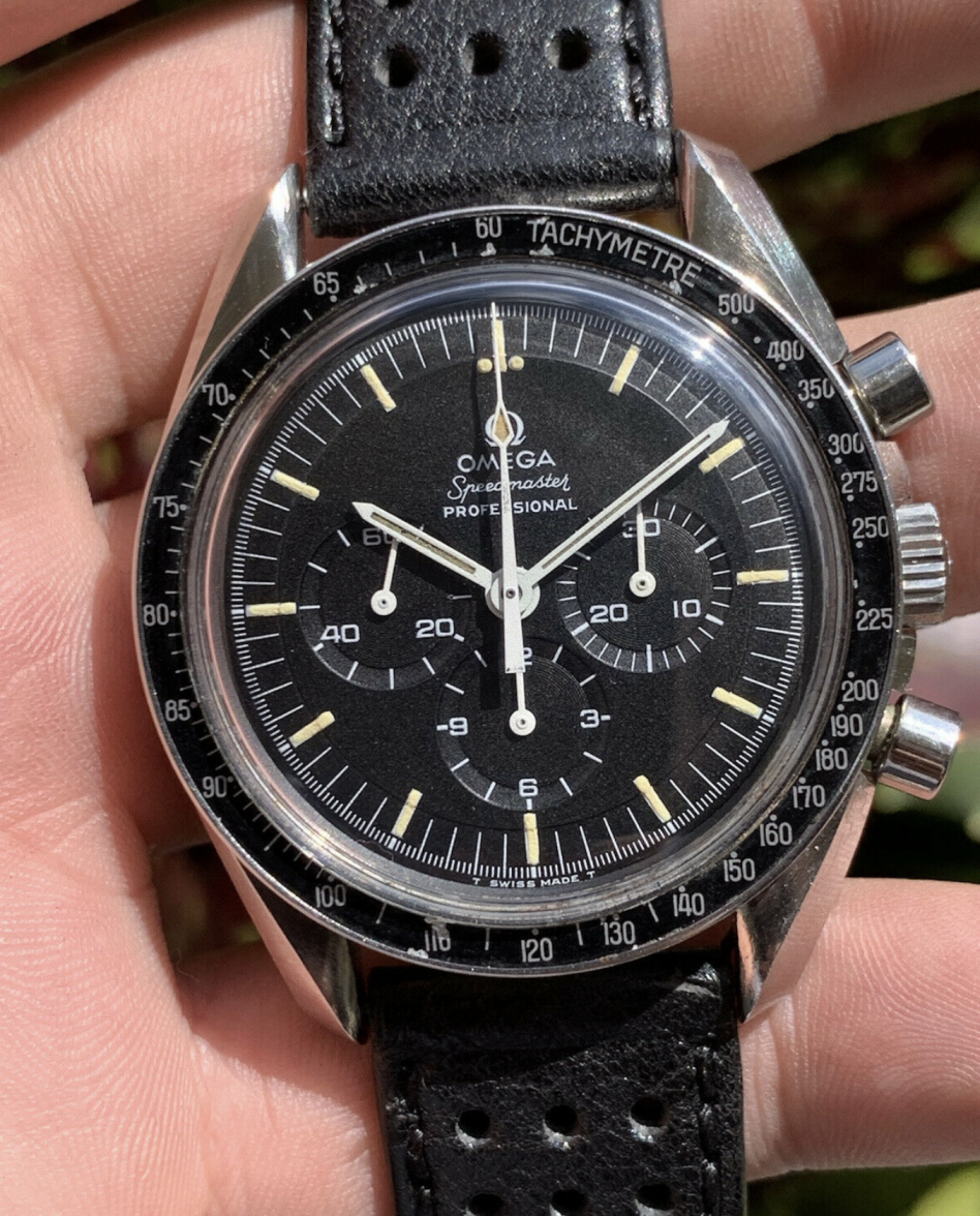 speedy1.png speedy1.png