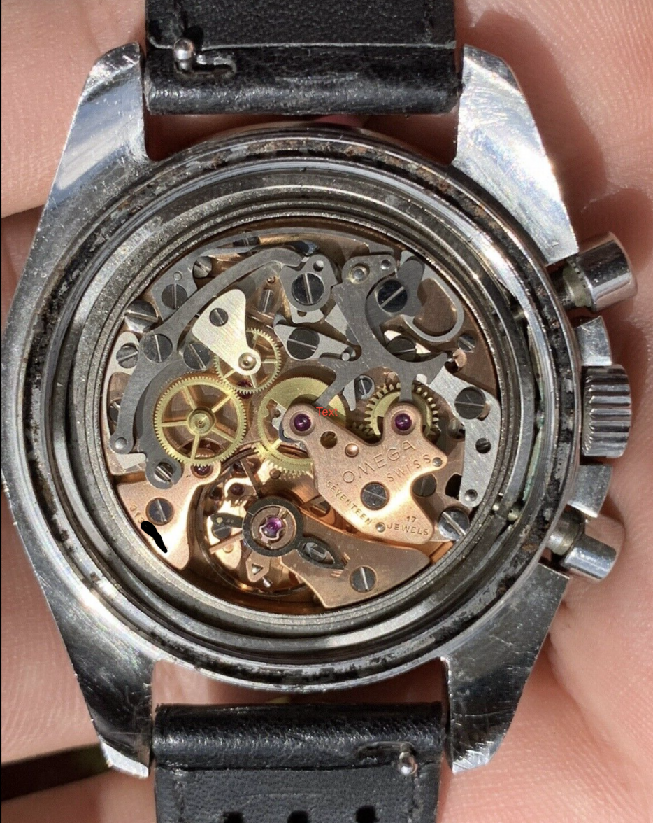 speedyMovt.png speedyMovt.png