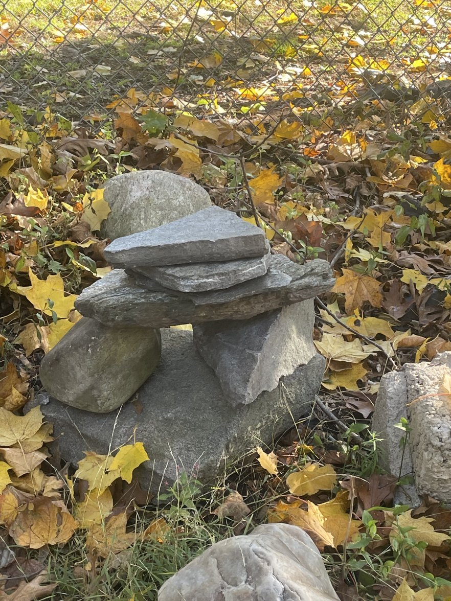 D0D435AC-259F-495E-86CB-FF4900EFFEB0.jpeg D0D435AC-259F-495E-86CB-FF4900EFFEB0.jpeg