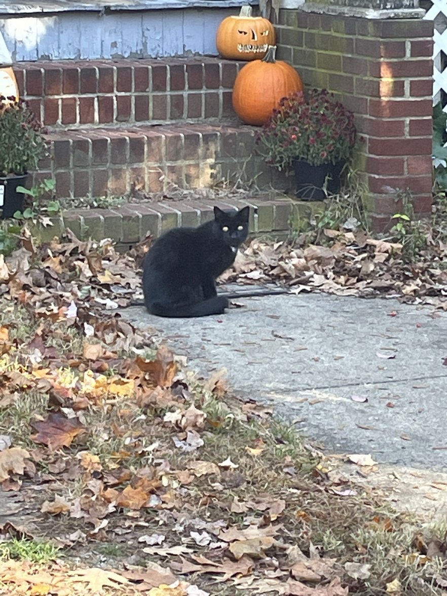 CA83EAC0-C740-4FA0-A9B2-D299F3FFEE2D.jpeg CA83EAC0-C740-4FA0-A9B2-D299F3FFEE2D.jpeg