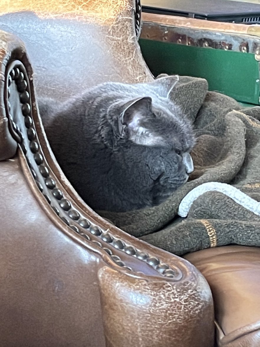 6D0F483F-A6E5-4827-A679-F230B5F74EBE.jpeg 6D0F483F-A6E5-4827-A679-F230B5F74EBE.jpeg