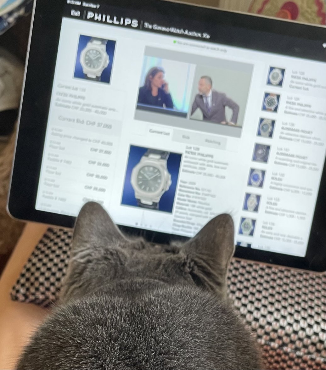 A054D25F-5DD3-41C5-B20B-EB90A470CCD9.jpeg A054D25F-5DD3-41C5-B20B-EB90A470CCD9.jpeg