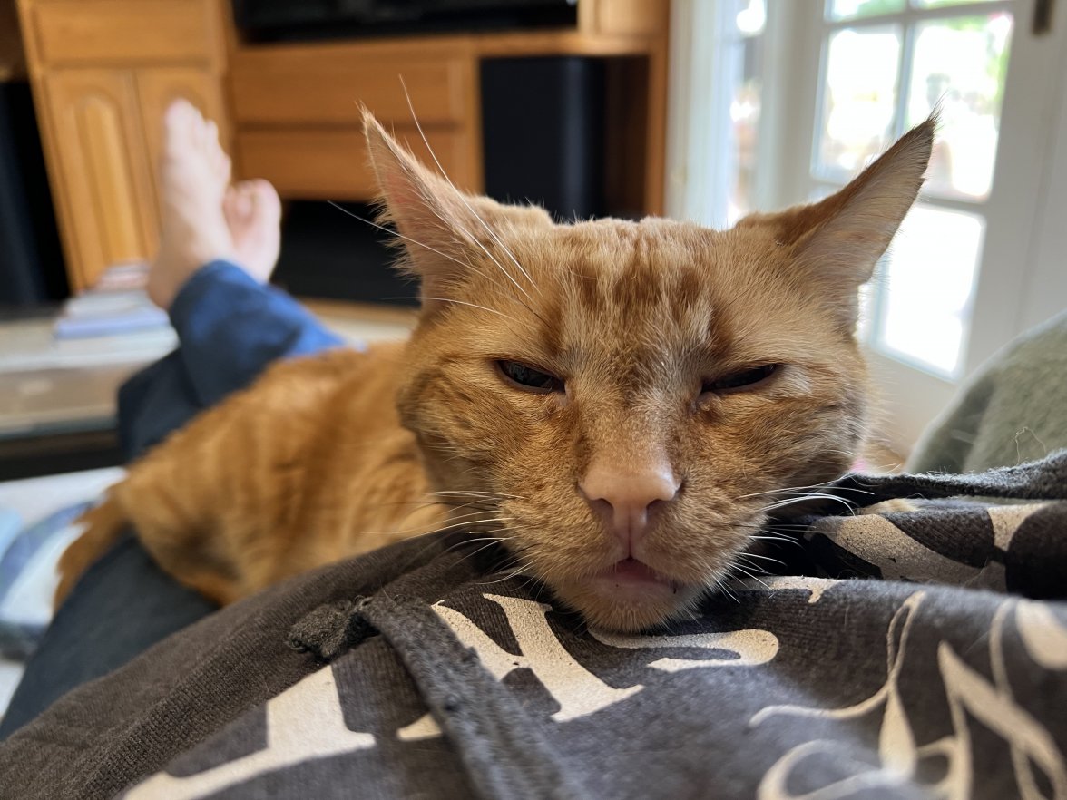 956A6136-D604-4FCA-A817-FF145927F4C0.jpeg 956A6136-D604-4FCA-A817-FF145927F4C0.jpeg