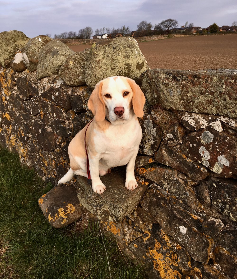 IMG_9206.jpeg IMG_9206.jpeg