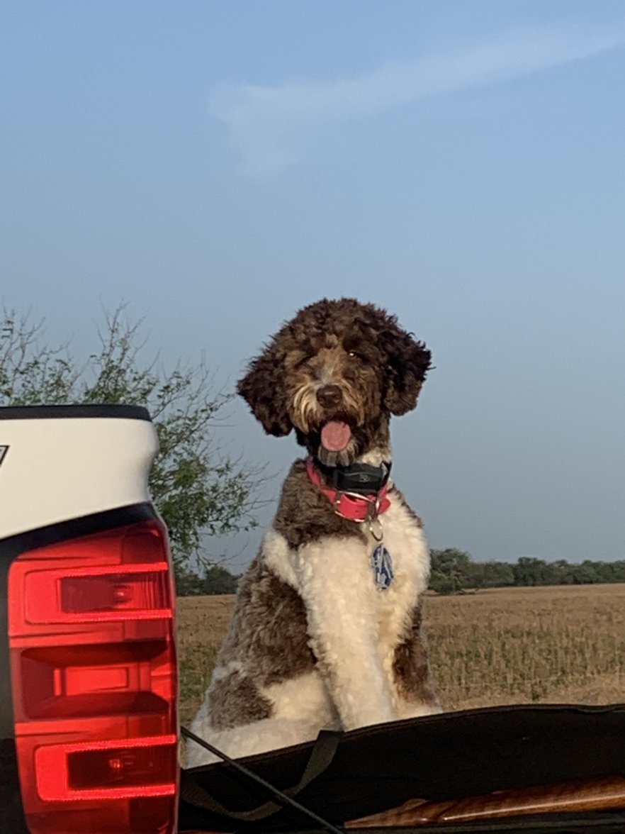 06B3020D-881E-4FD3-A288-F5A83FF03A7B.jpeg 06B3020D-881E-4FD3-A288-F5A83FF03A7B.jpeg