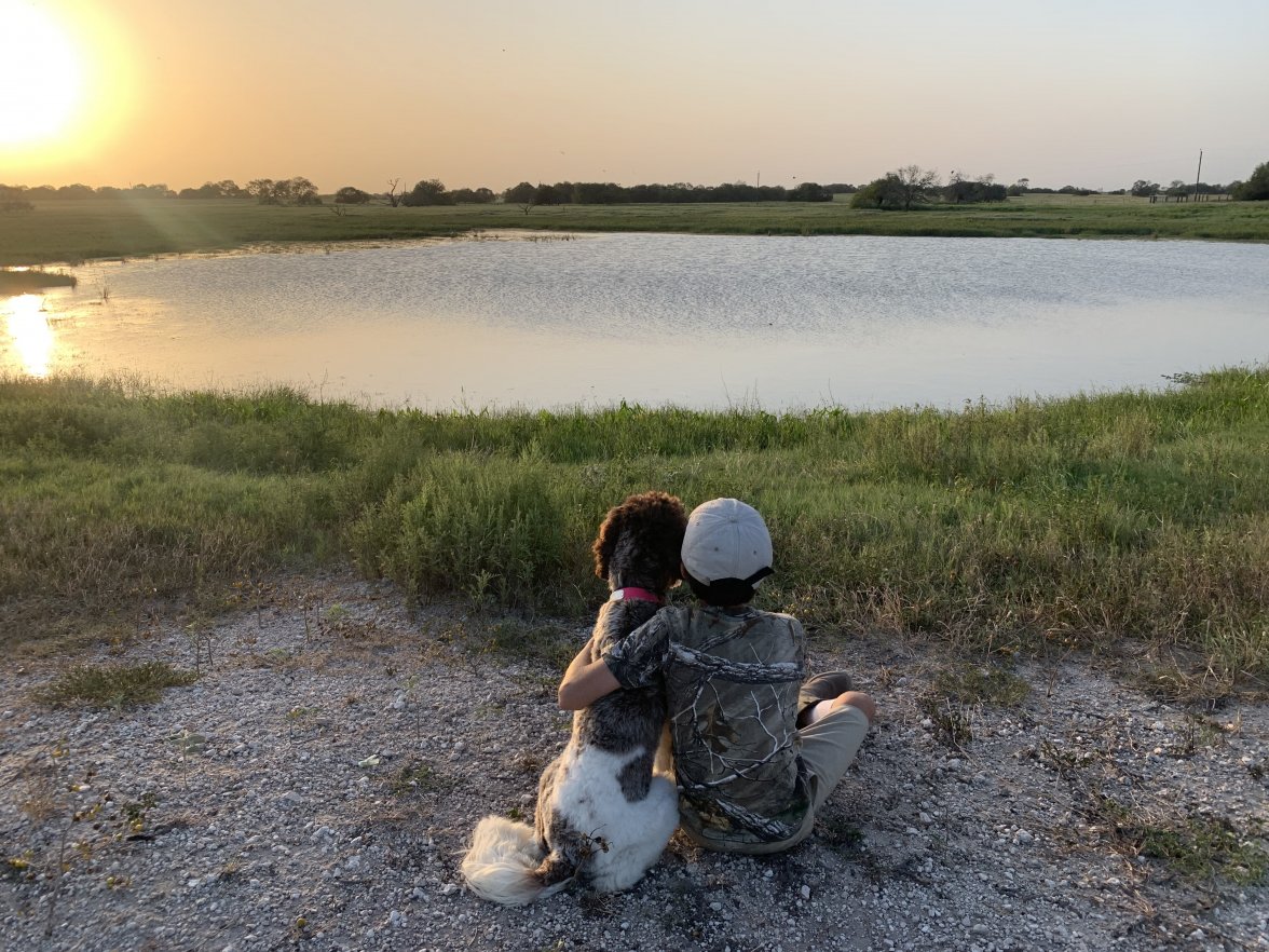 D17494E1-3B83-499A-9973-9C1E3729B945.jpeg D17494E1-3B83-499A-9973-9C1E3729B945.jpeg