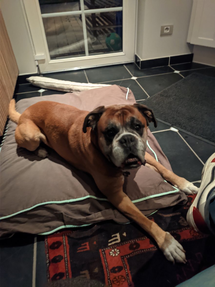 PXL_20211106_175625973.jpg PXL_20211106_175625973.jpg