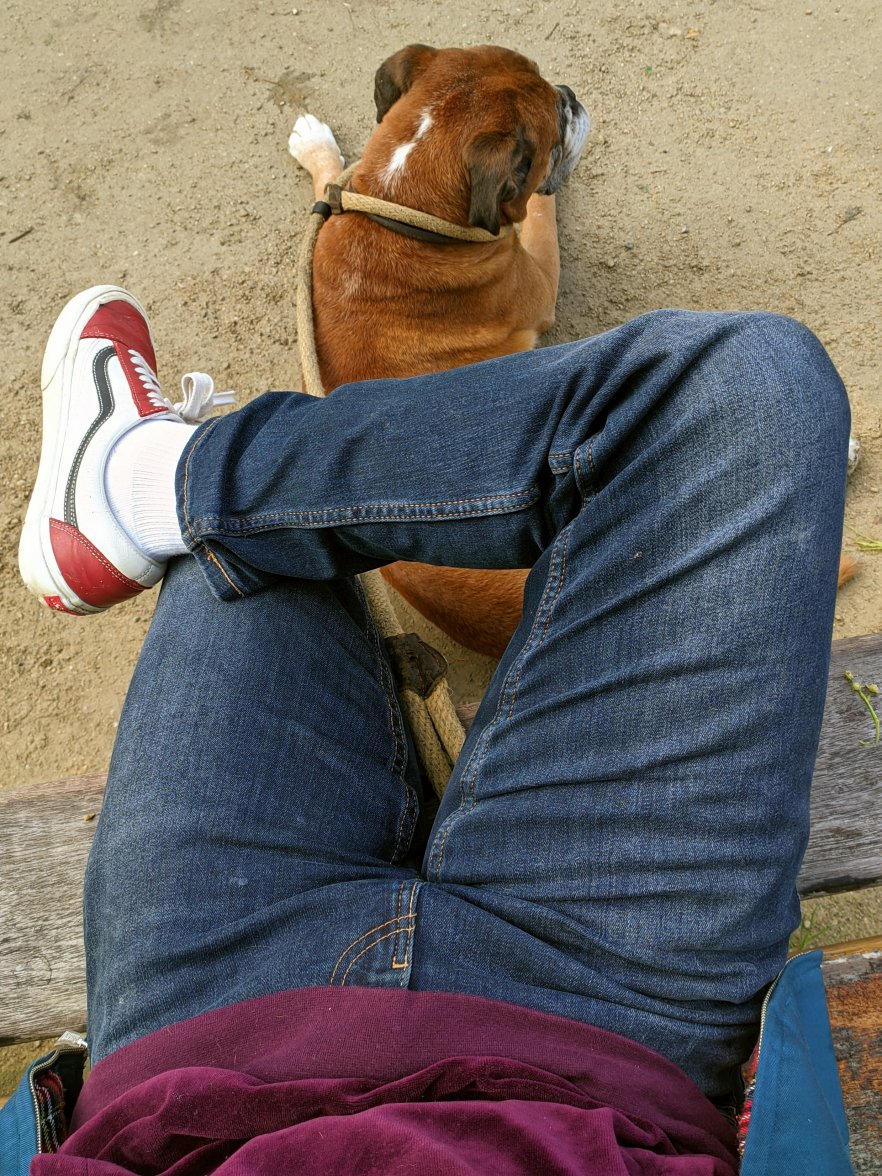 PXL_20211019_155935000.jpg PXL_20211019_155935000.jpg