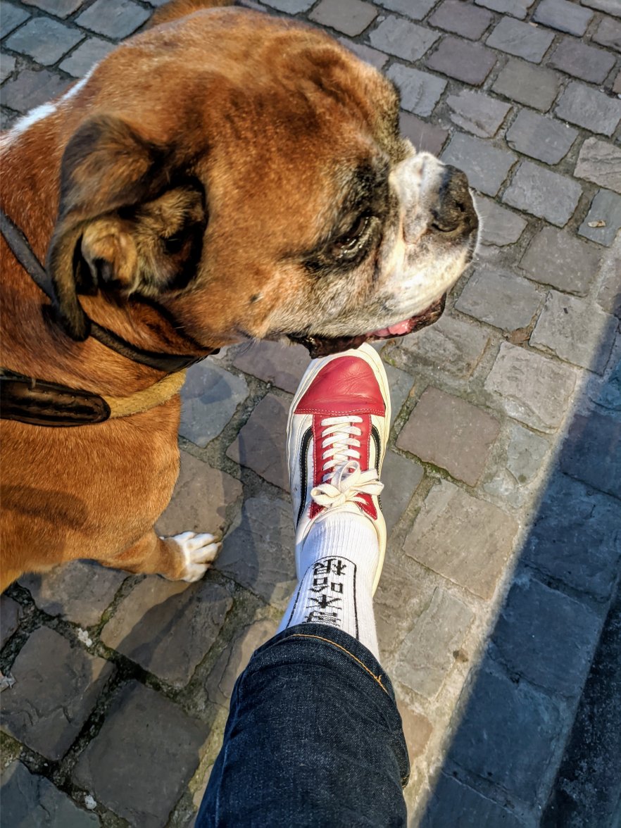 PXL_20211019_185339810.jpg PXL_20211019_185339810.jpg