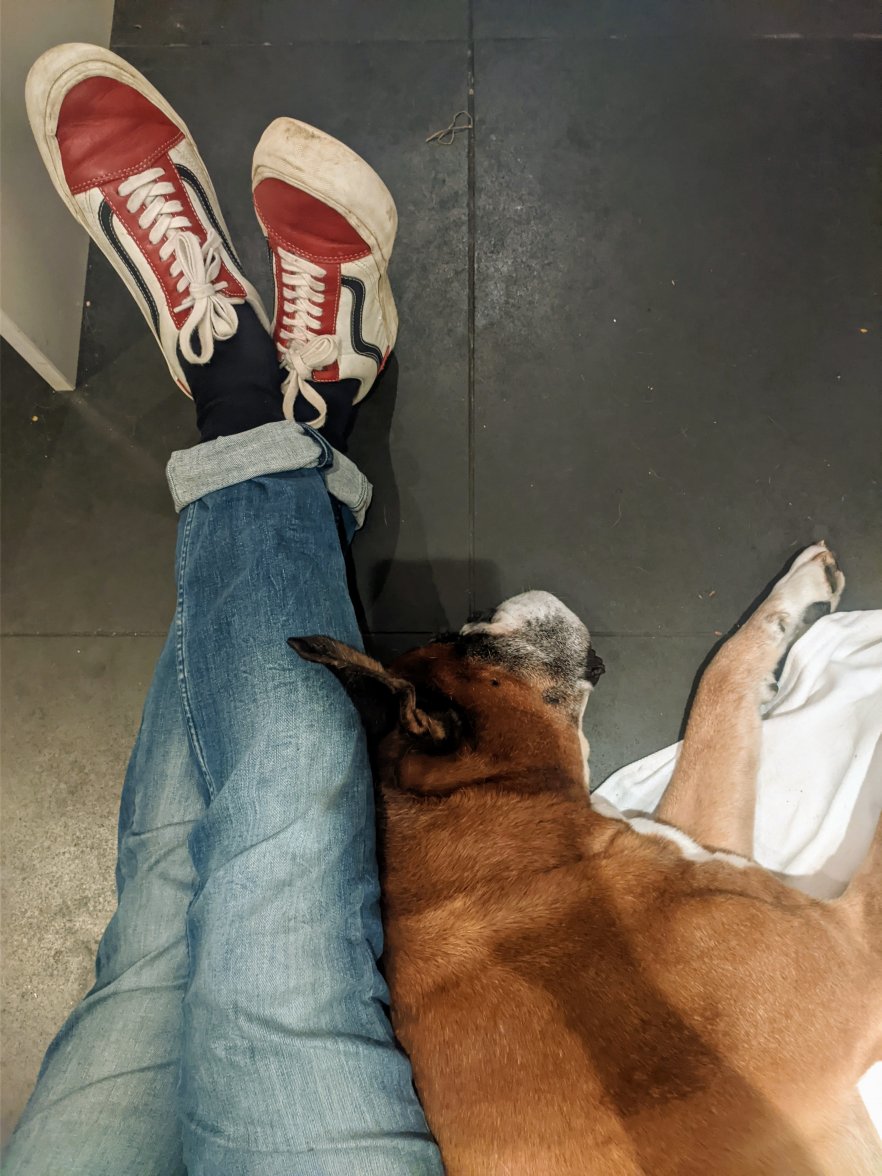 PXL_20211105_233722388.jpg PXL_20211105_233722388.jpg