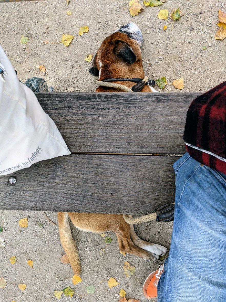 PXL_20211026_151608641.jpg PXL_20211026_151608641.jpg