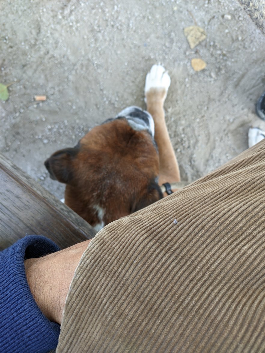 PXL_20211009_125221929.jpg PXL_20211009_125221929.jpg