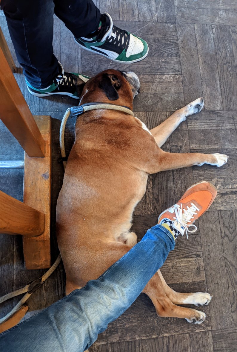 PXL_20211025_162713181.jpg PXL_20211025_162713181.jpg