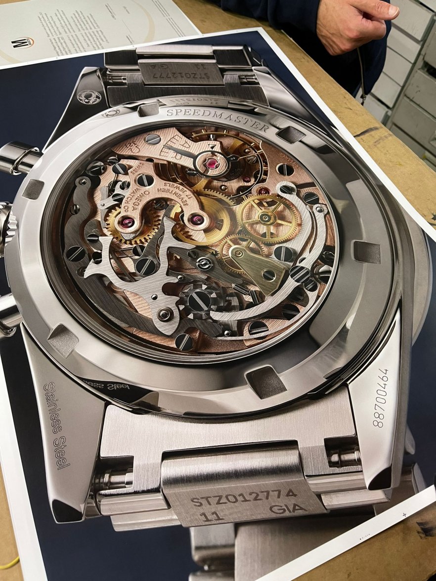 IMG-20211111-WA0028.jpg IMG-20211111-WA0028.jpg