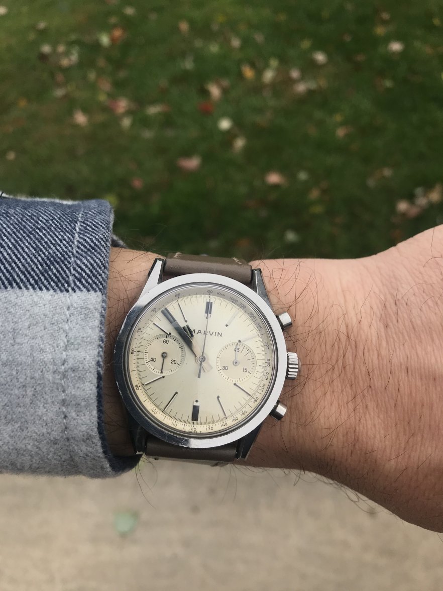 B8E132E7-11EE-489E-80AE-F58DC22E5843.jpeg B8E132E7-11EE-489E-80AE-F58DC22E5843.jpeg