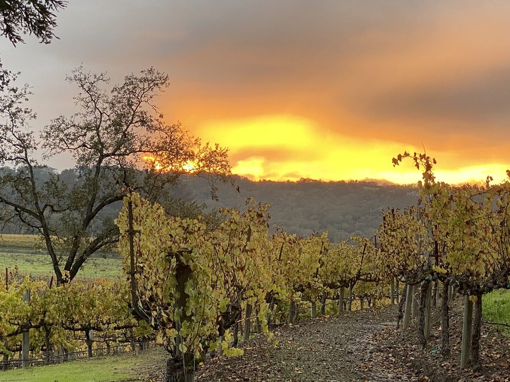 La Crema Winery Sunset.jpg