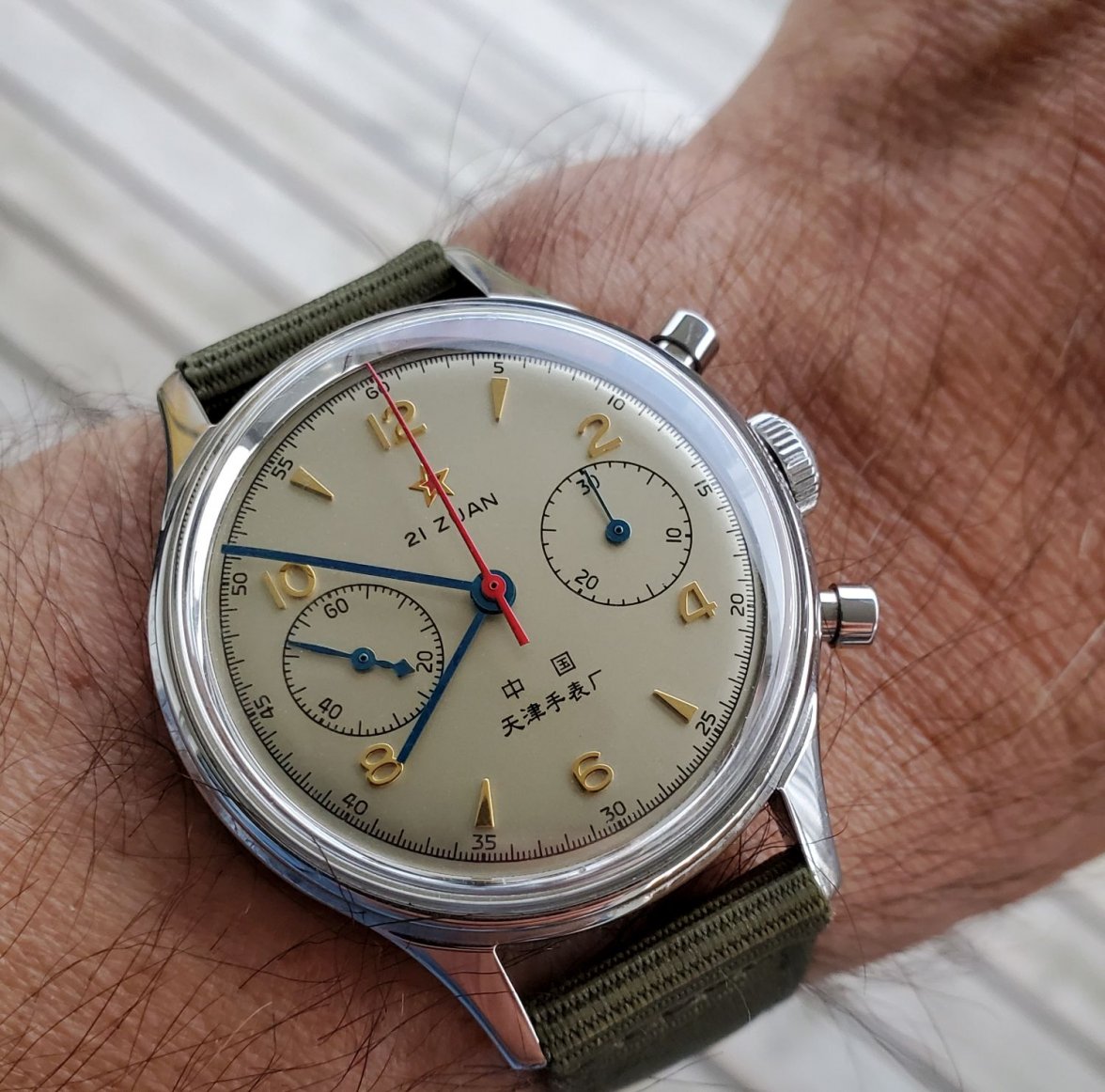 Seagull ws 1 20211127_075049.jpg