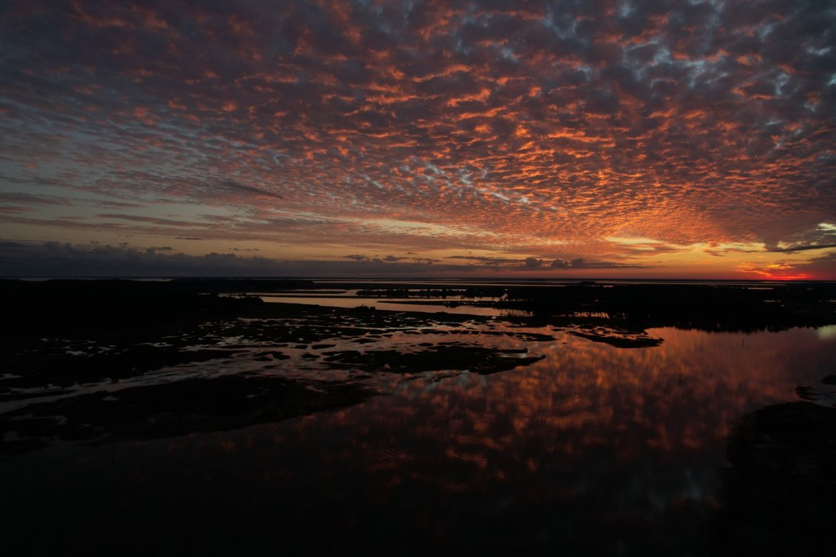 Butterbean Beach.jpg