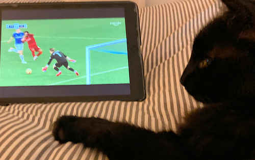 Ball Boy 02 - Copy.jpg