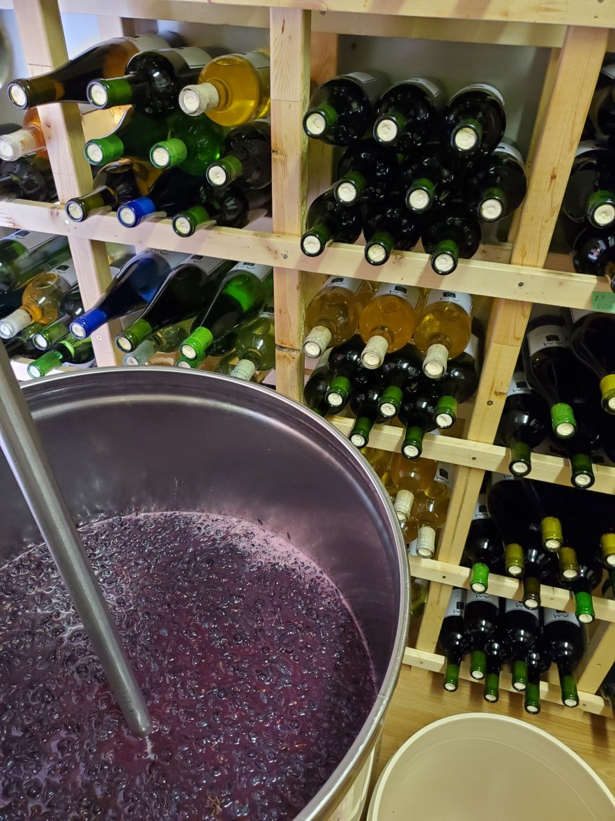 20211010_140648.jpg 20211010_140648.jpg