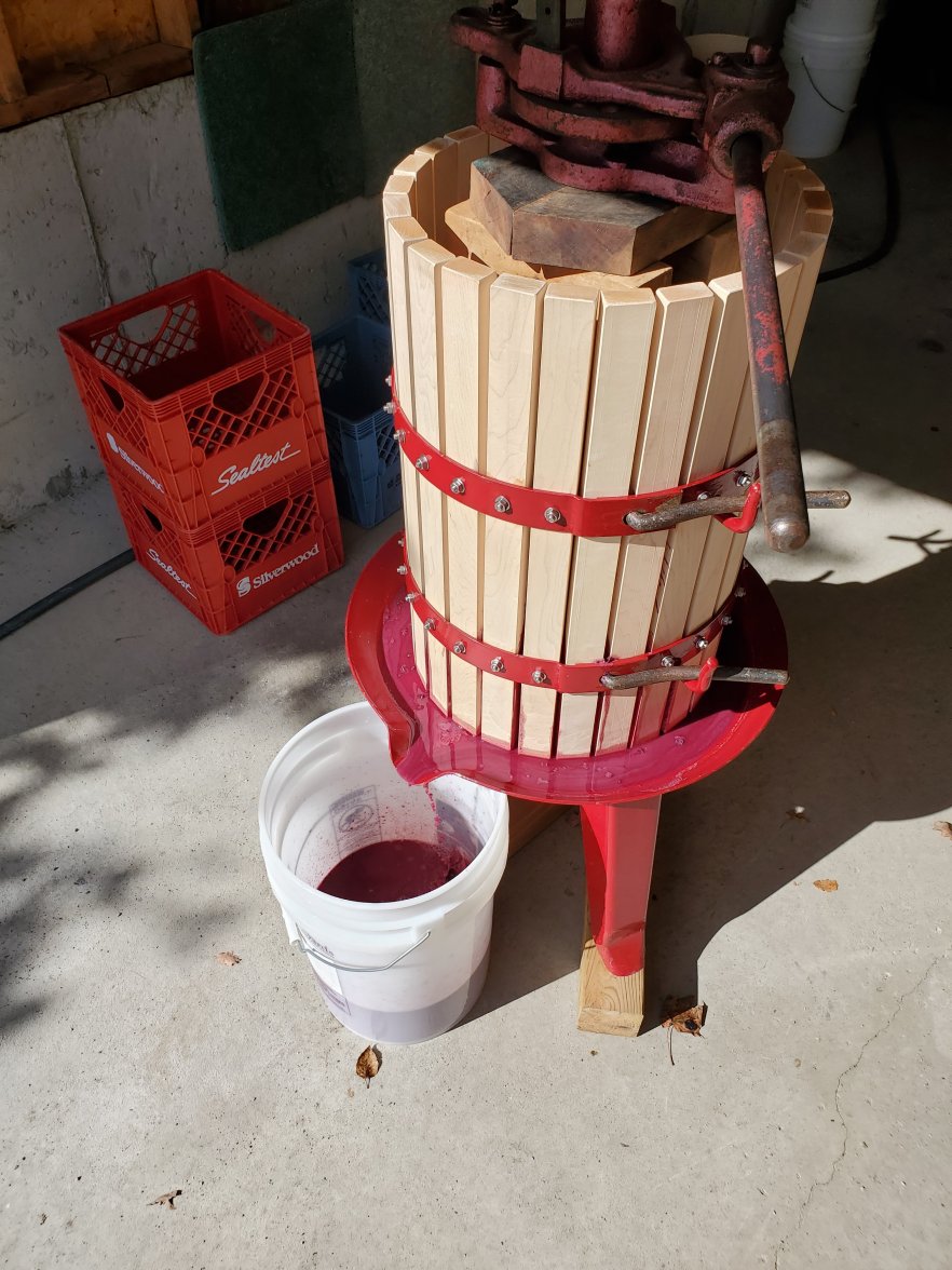 20211017_131629.jpg 20211017_131629.jpg