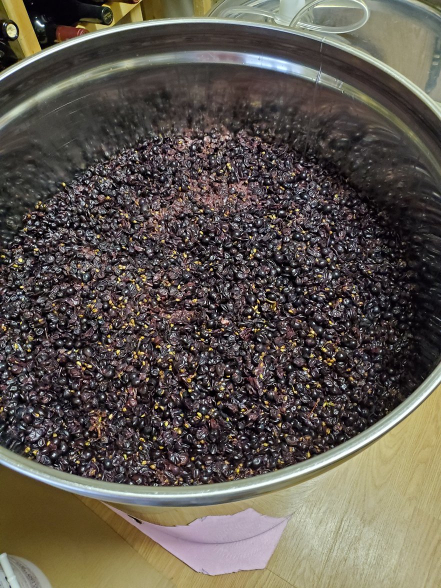 20200928_162421.jpg 20200928_162421.jpg