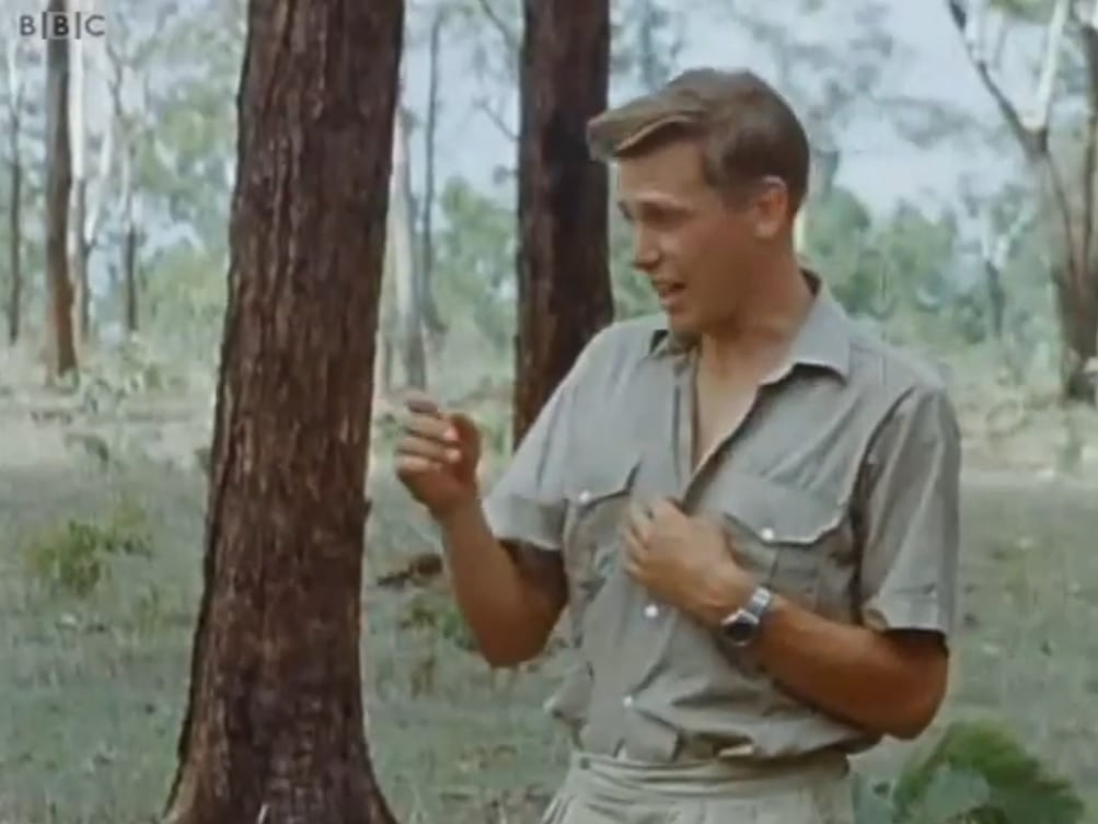 1016_Attenborough.jpg 1016_Attenborough.jpg