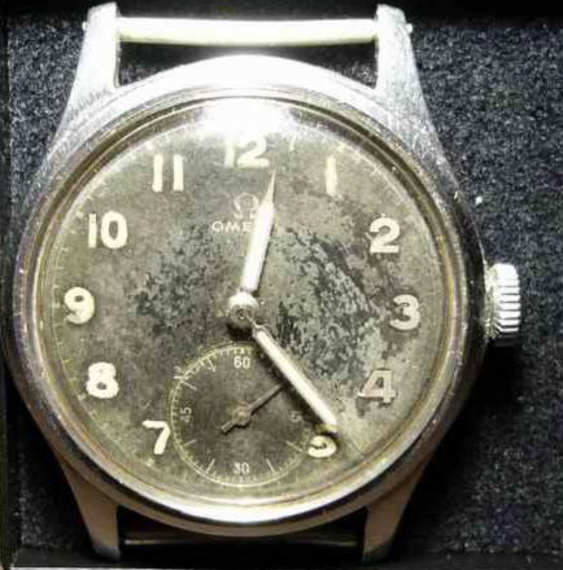 0F66F333-BD16-441D-BCFA-8A4F38FA6B2A.jpeg 0F66F333-BD16-441D-BCFA-8A4F38FA6B2A.jpeg