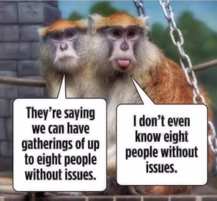 Cheeky monkeys - Copy.jpg