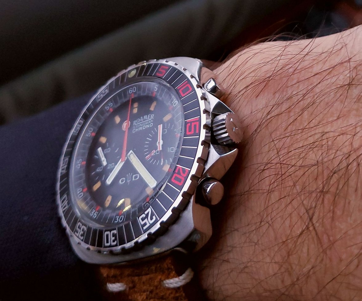 Roamer ws 1 20211215_072255.jpg