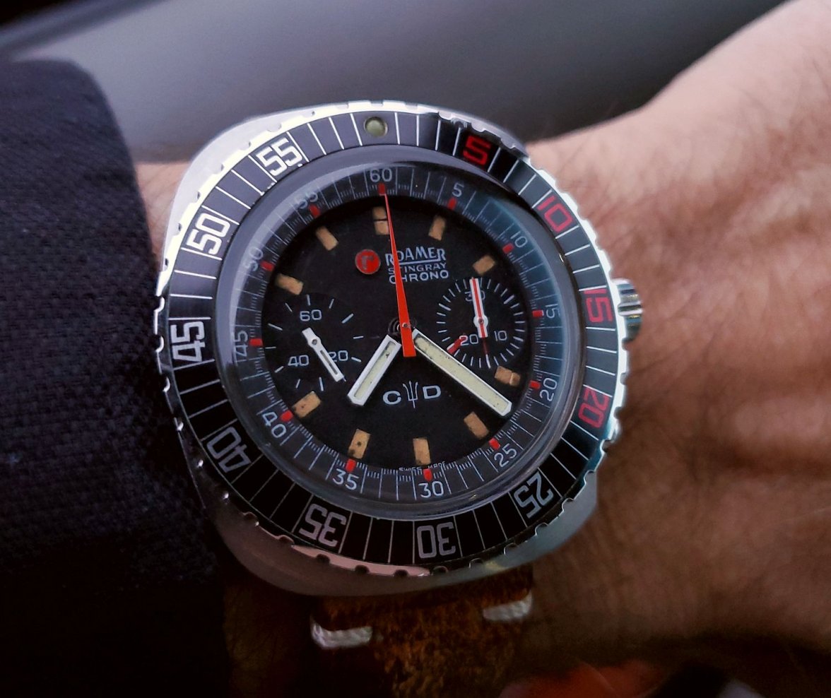 Roamer ws 2 20211215_072226.jpg