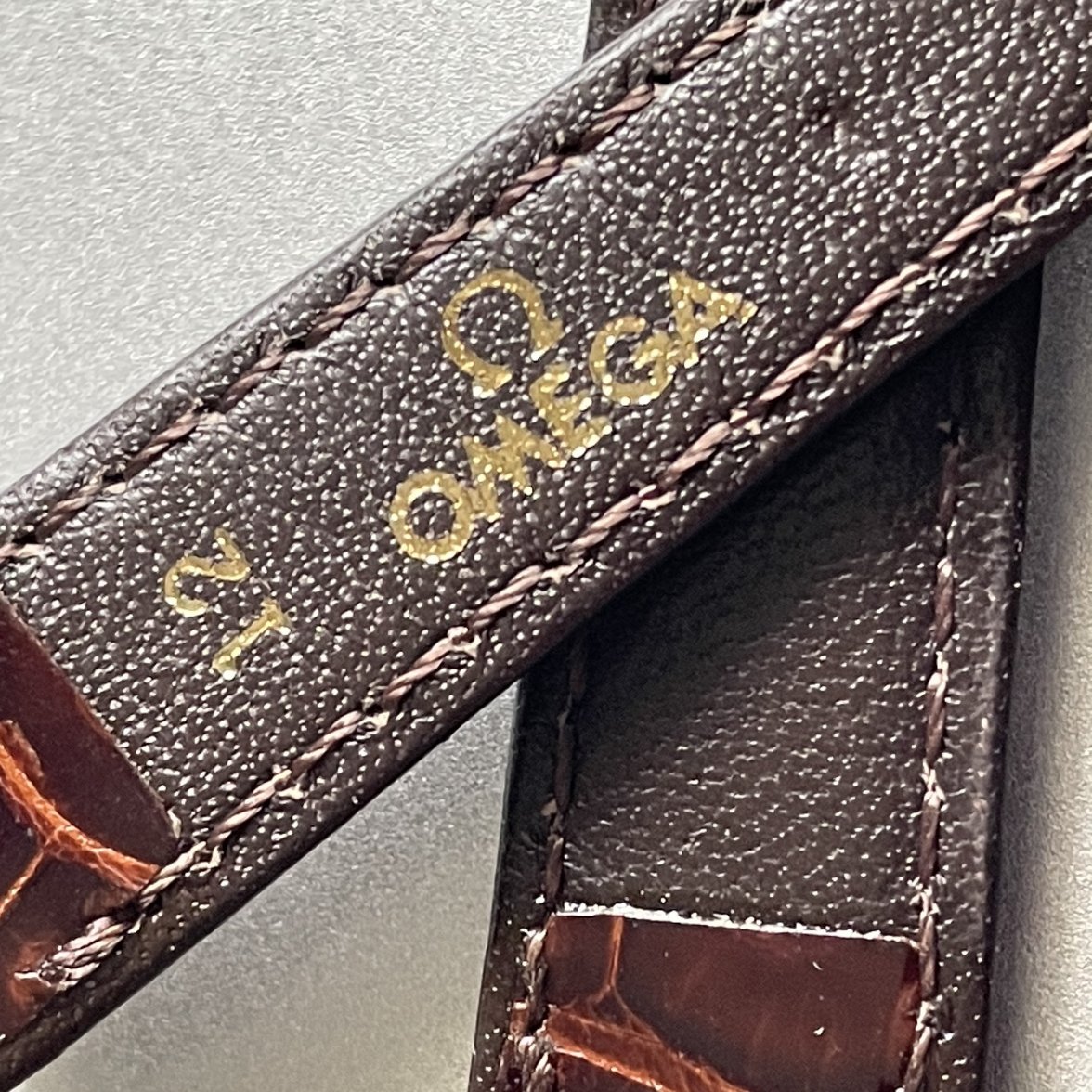 F9078091-4E79-46C6-99AB-DBC995AA1387.jpeg F9078091-4E79-46C6-99AB-DBC995AA1387.jpeg