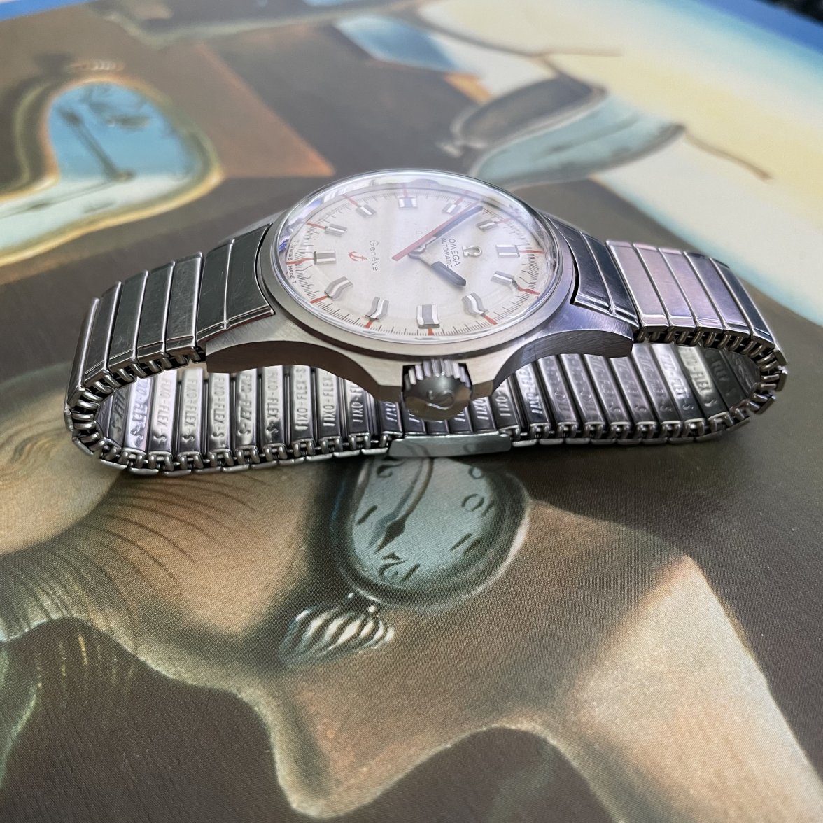 8A048836-C043-4720-B192-4E315793D68E.jpeg 8A048836-C043-4720-B192-4E315793D68E.jpeg